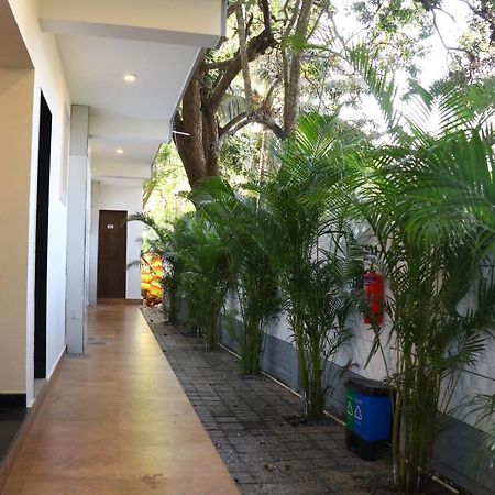 La Vera Boutique Hotel, Mandrem Exterior photo